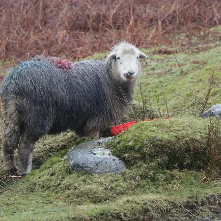 Brookside בית נופש *